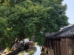 -乌镇景区