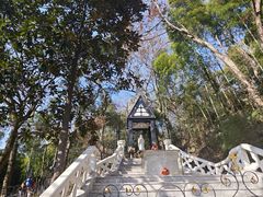 -上海佘山国家森林公园西佘山园