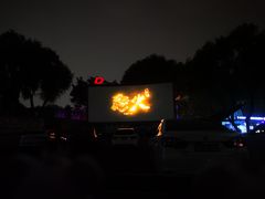 -枫花园汽车电影院(朝阳公园店)