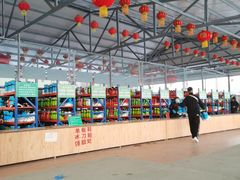 -东方巨龟苑景区