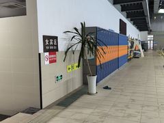 -西南大学（北碚校区）恒温游泳馆