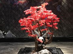 -红辣椒·川菜·火锅(大洋中心店)