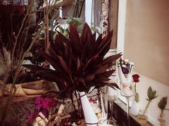 -BOBLOOM花店(宝龙旭辉广场店)
