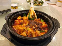 陈麻婆豆腐-陈麻婆豆腐(春熙店)