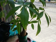 -渔码头食府(蓬莱阁店)
