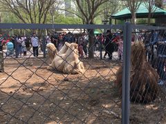 -长白岛森林公园