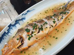 葱油蒸深海大黄鱼-新南华大酒店(广中店)