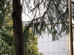 -浙江省立同德医院(翠苑院区)