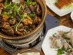 -广宁炭炉鸡煲·富临门饭店