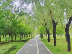 -洨河生态公园