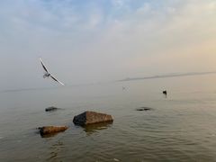 -深圳湾公园(南山区)