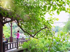 -贵阳市花溪国家城市湿地公园