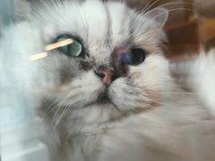 -安吉汽车生活馆(大宁中心广场C3栋店)