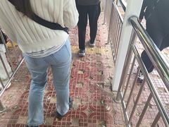 -青藏高原野生动物园