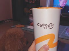 -CoCo都可(合生汇店)