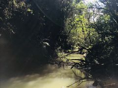 -怀托摩萤火虫洞