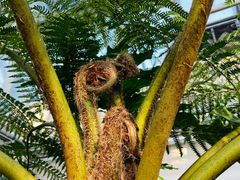 -国家植物园南园