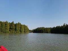 -上海海湾国家森林公园