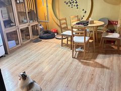 -白兔子密室(长寿路店)