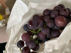 -马陆小张葡萄园农家乐