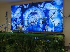-深圳龙华星河COCO City(民治店)