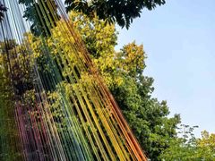 -福建鲤鱼洲酒店