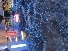 -徐记小怪兽肉蟹煲(中央大街店)