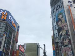 -秋叶原电器街