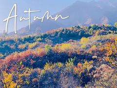 -水峪民俗村