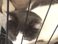 -颐玖 咖啡|甜品
