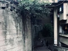 -白象居