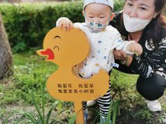 -爱月宝月嫂·育儿嫂(哈尔滨总店)