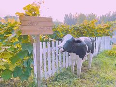 -安德鲁户外烧烤帐篷营地(马泉营店)