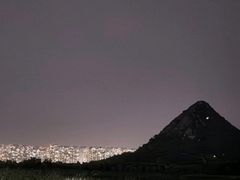 -济南植物园