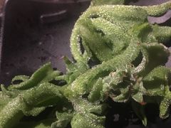 -颐和•海鲜砂锅粥•啫啫煲(奥林匹克广场店)