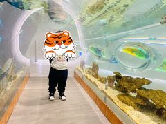 -石家庄海洋公园