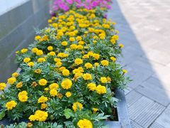 -方回春堂(拱宸桥店)