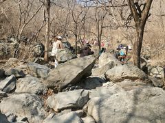 -北京西山国家森林公园