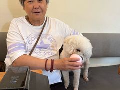 -小意思咖啡店(草桥店)