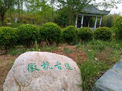 -武清南湖绿博园