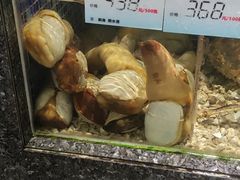 -金满楼(天河中路店)