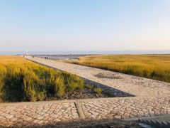 -南汇嘴观海公园