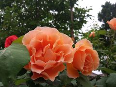 -西安关中民俗艺术博物院