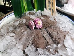 -九鼎轩脆毛肚火锅(三钢里店)