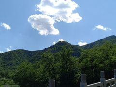 -阳台山自然风景区