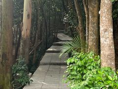 -小南山公园