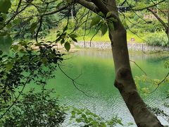-桃花岭景区