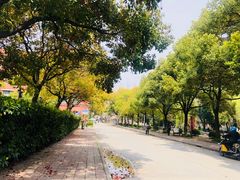 -同济大学(沪西校区)