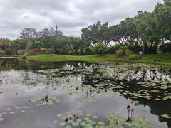 -云溪植物园