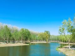 -东郊湿地公园